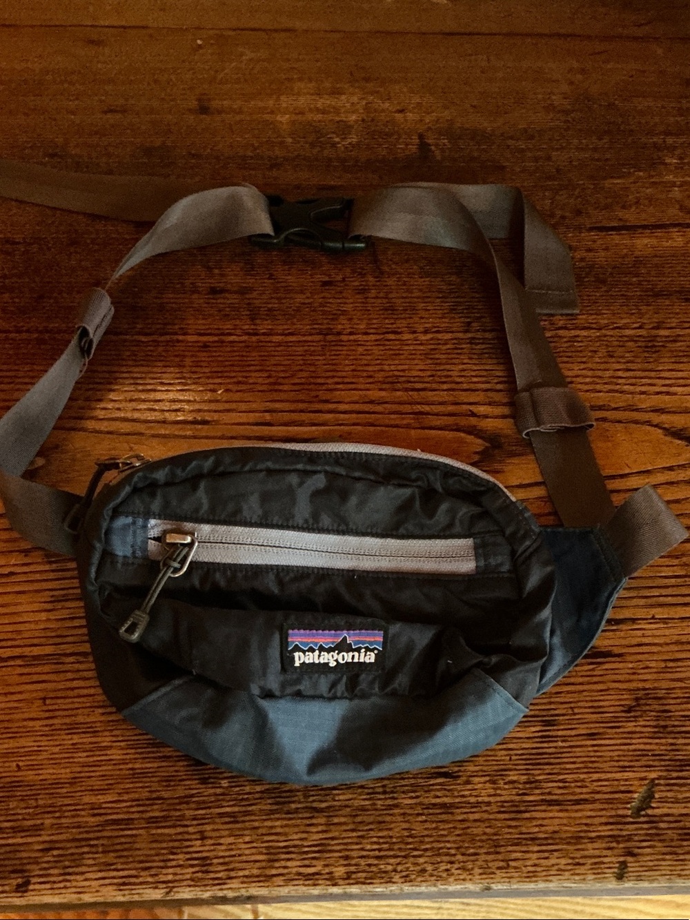 Patagonia Blue and Gray Belt Bag